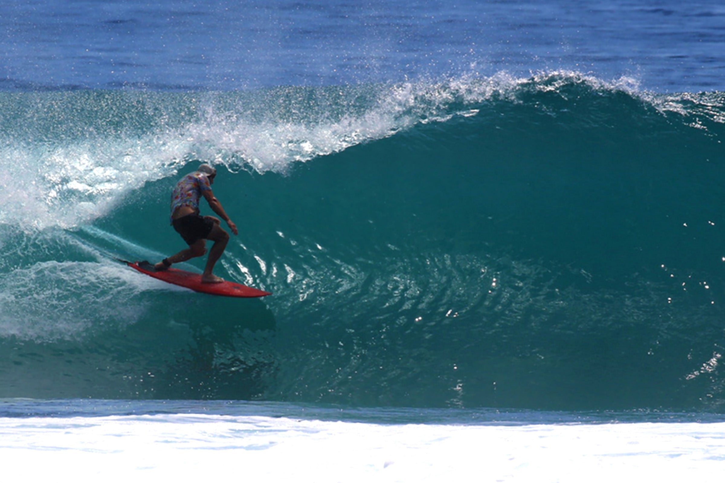 Speed Monkey Twin Fin Surfboard – Joel Fitzgerald Surfboards