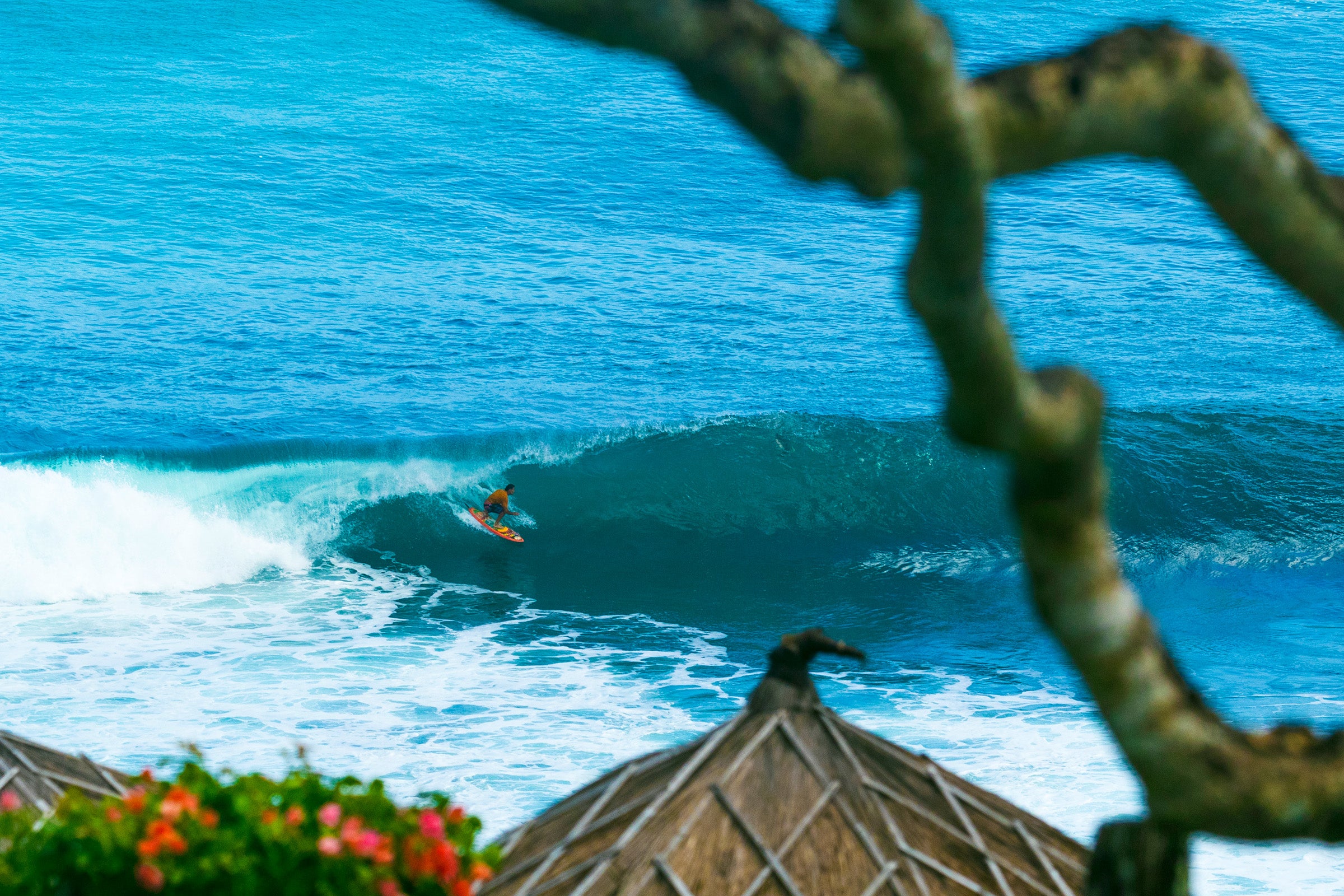 サーフェイスジョー シリースタイル Zipper Fish Surfboard – Joel Fitzgerald Surfboards – JOEL
